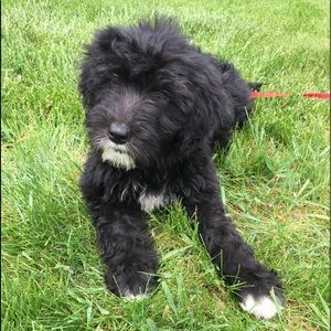 Meet your Posher, Emma